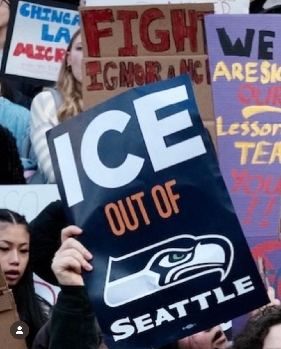SeahawksIce.jpg